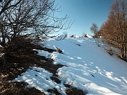 25 Splende il sole...